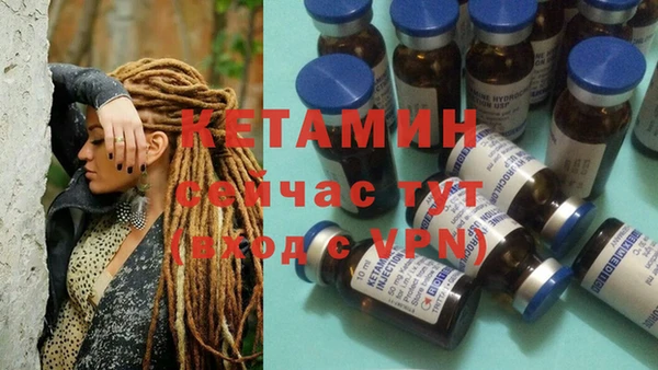 амф Липки