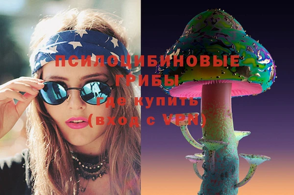 амф Липки