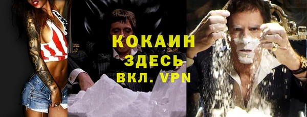 амф Липки