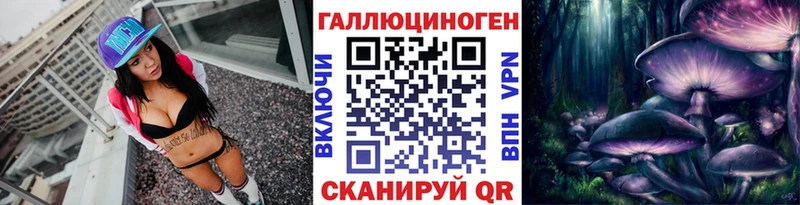 Купить закладки  Петушки  Псилоцибиновые грибы GOLDEN TEACHER 