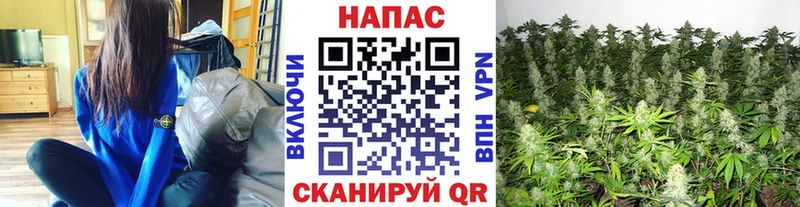 Купить где Петушки Шишки марихуана VHQ